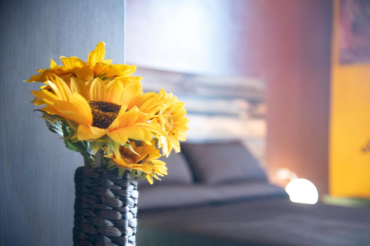 Il Fiore Di Gio بولونيا المظهر الخارجي الصورة